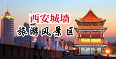 大鸡吧插死你动态图中国陕西-西安城墙旅游风景区